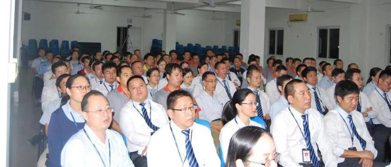 深圳大陽集團(tuán)流程E化、智能決策BI”智造信息化“案例